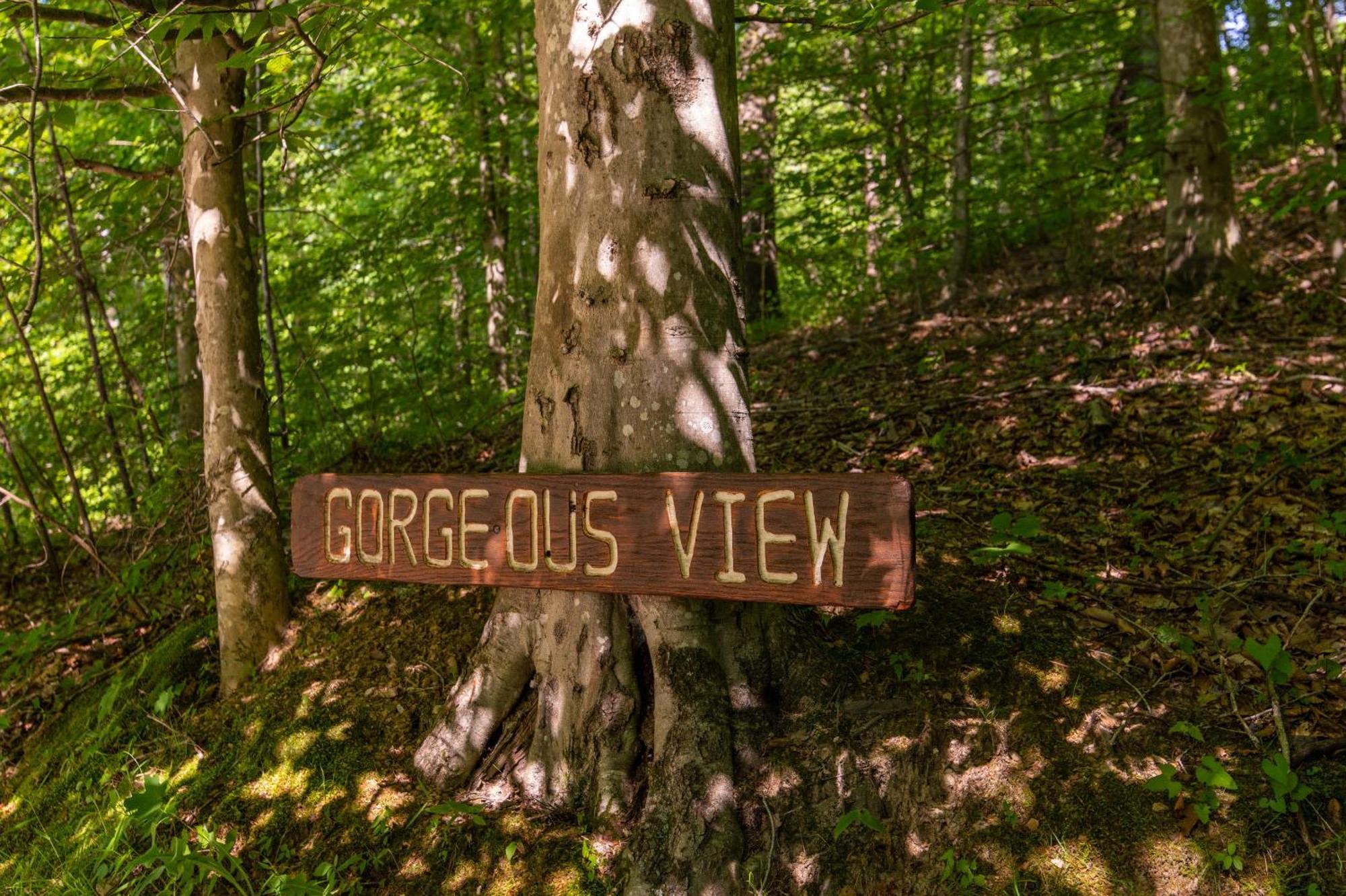 Gorgeous View Cabin Rogers Екстер'єр фото