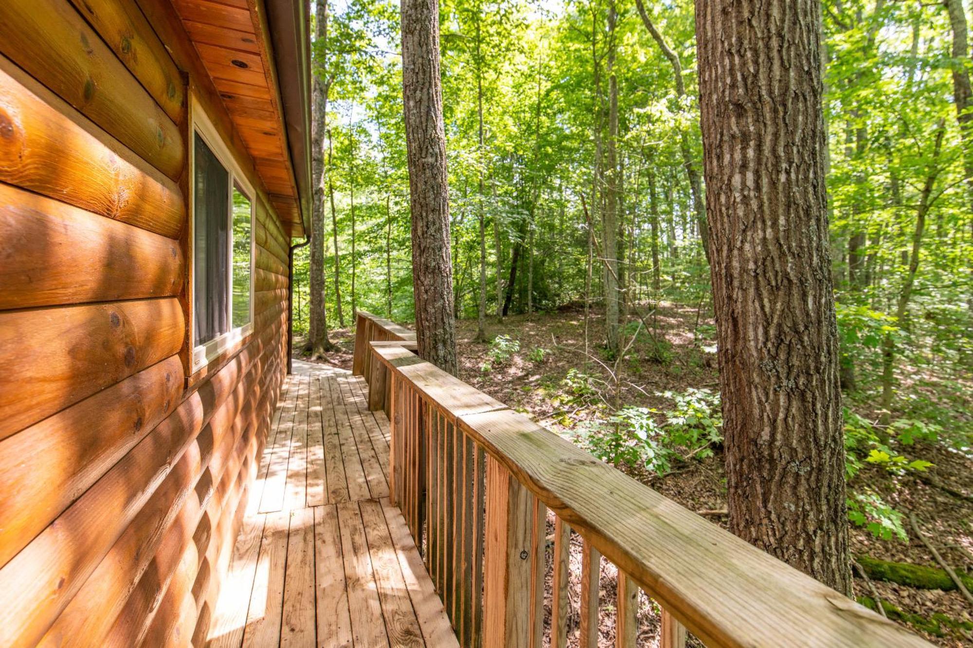 Gorgeous View Cabin Rogers Екстер'єр фото